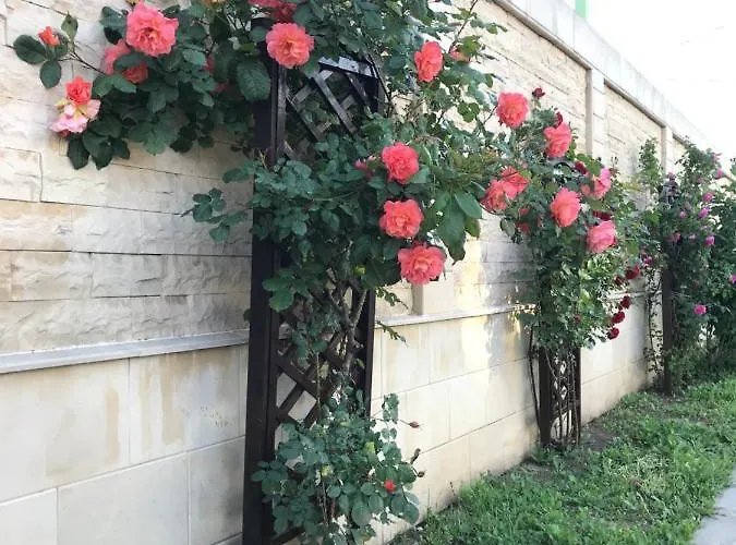 Casa Nursil Guest house Eforie Nord